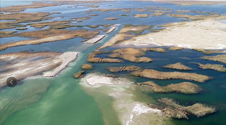 內(nèi)蒙古阿拉善：多彩額濟(jì)納 繽紛迎客來