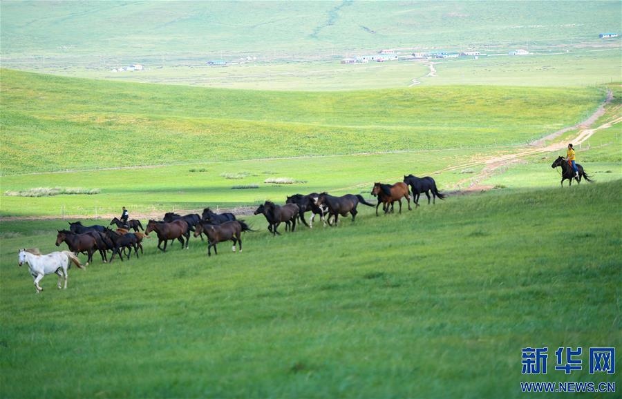 （特別的暑期生活·圖片故事）（15）草原女孩錫林花的暑期“歡樂時(shí)光”