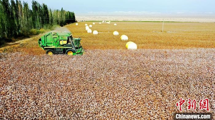 近年來(lái)，當(dāng)?shù)孛藁ǚN植戶(hù)的生產(chǎn)生活發(fā)生了翻天覆地的變化。　董霜 攝