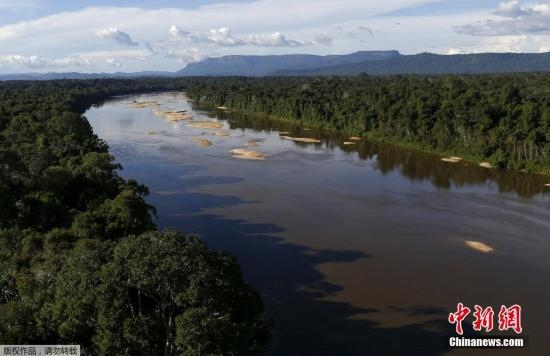 資料圖：亞馬孫雨林內(nèi)的河流。