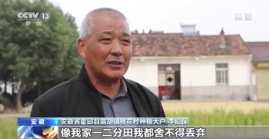 十八連豐！秋收近九成 我國糧食產能穩(wěn)步提升