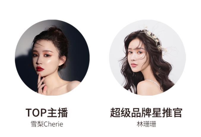 宸帆電商官網(wǎng)截圖。