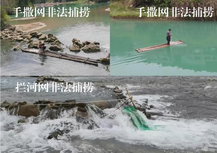 2021年9—10月，前期暗查發(fā)現(xiàn)，保護(hù)區(qū)核心區(qū)內(nèi)非法捕撈行為十分猖獗