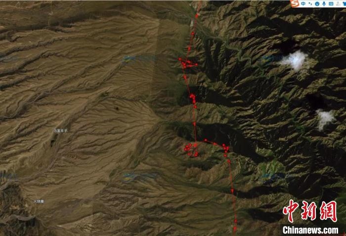 圖為雪豹故地重游來到放歸地的足跡。　內(nèi)蒙古賀蘭山國家級自然保護(hù)區(qū)供圖