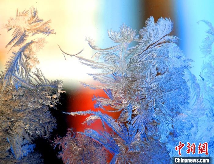 冰窗花千姿百態(tài)?！O書程 攝