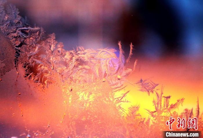 迎著光亮，冰窗花絢麗多姿?！O書程 攝