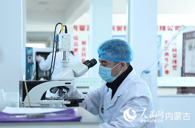 內(nèi)蒙古中農(nóng)興安種?？萍加邢薰韭鋺艨朴抑衅欤瑸槿馀．a(chǎn)業(yè)發(fā)展提供了優(yōu)質(zhì)的種源保障。白俊華攝