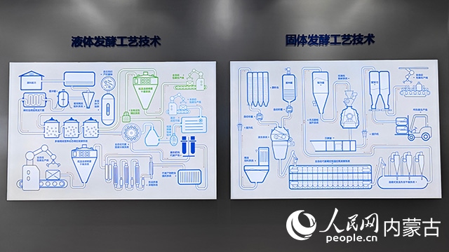 科拓生物工藝技術(shù)展示。人民網(wǎng)記者 張雪冬攝