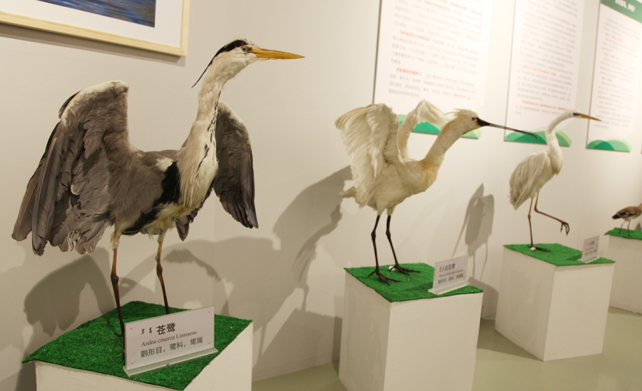 1608295462692510.png 1608278484252498.png