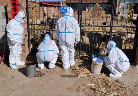 1645757617190932.png 武川縣上禿亥鄉(xiāng)下圪奔村黨員先鋒隊(7)(1)2297.png