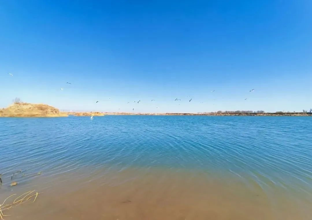 1648610693986116.jpg 微信圖片_20220330104223.jpg