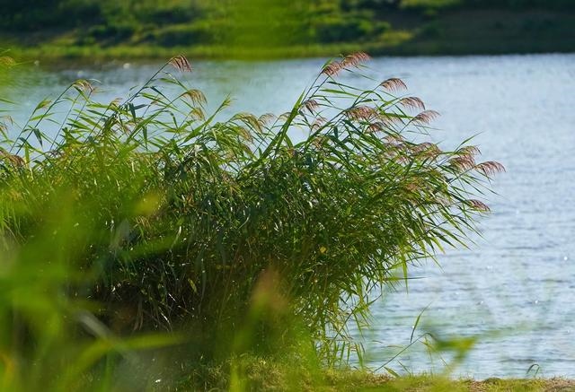 1662607981741523.jpg W020220907333439211383.jpg