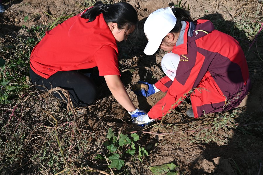 1696351024383413.jpg 002.jpg