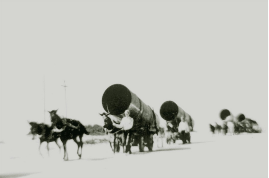 1728722814365382.png 圖片1.png