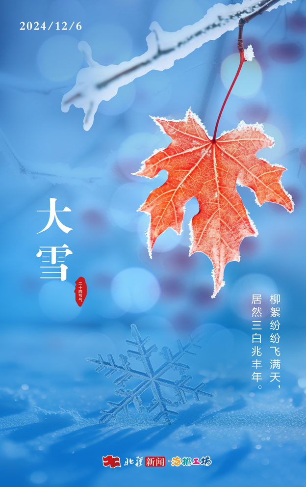 1733466838124731.jpeg WechatIMG11311.jpeg