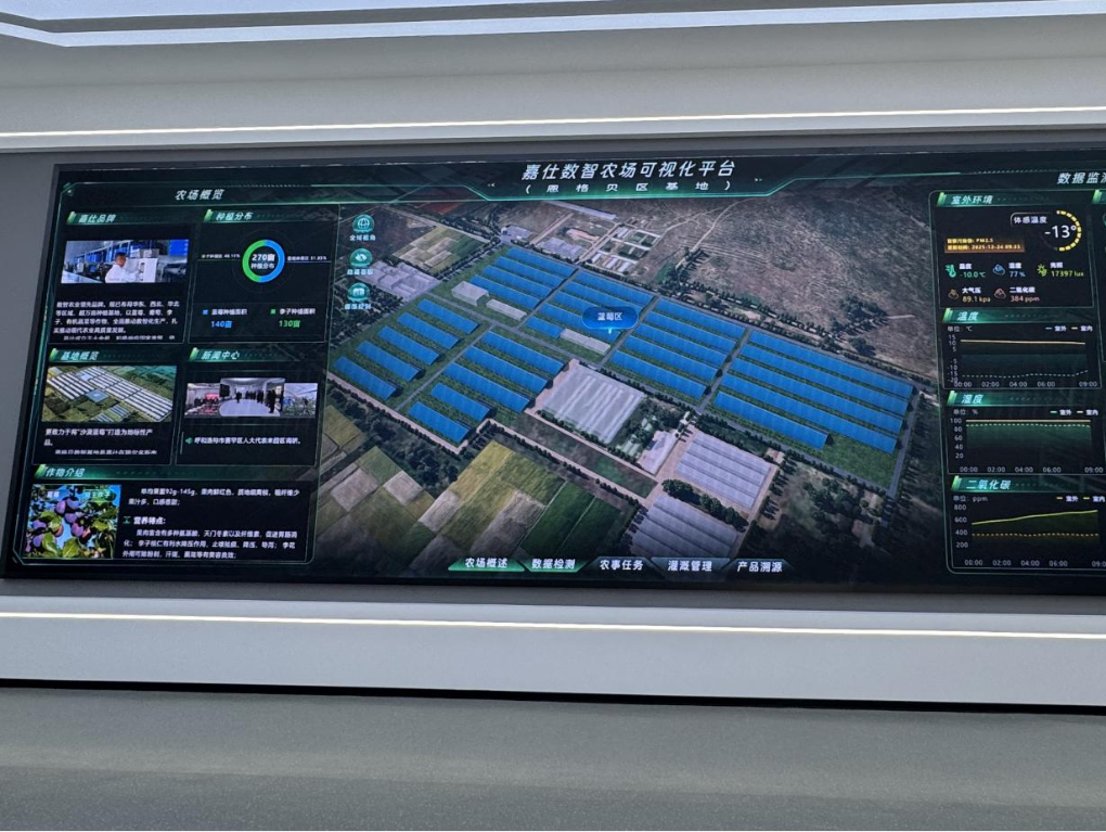 20260112嘉仕農(nóng)業(yè)藍(lán)莓栽培科技示范基地?cái)?shù)智農(nóng)業(yè)可視化平臺(tái)新華網(wǎng).png