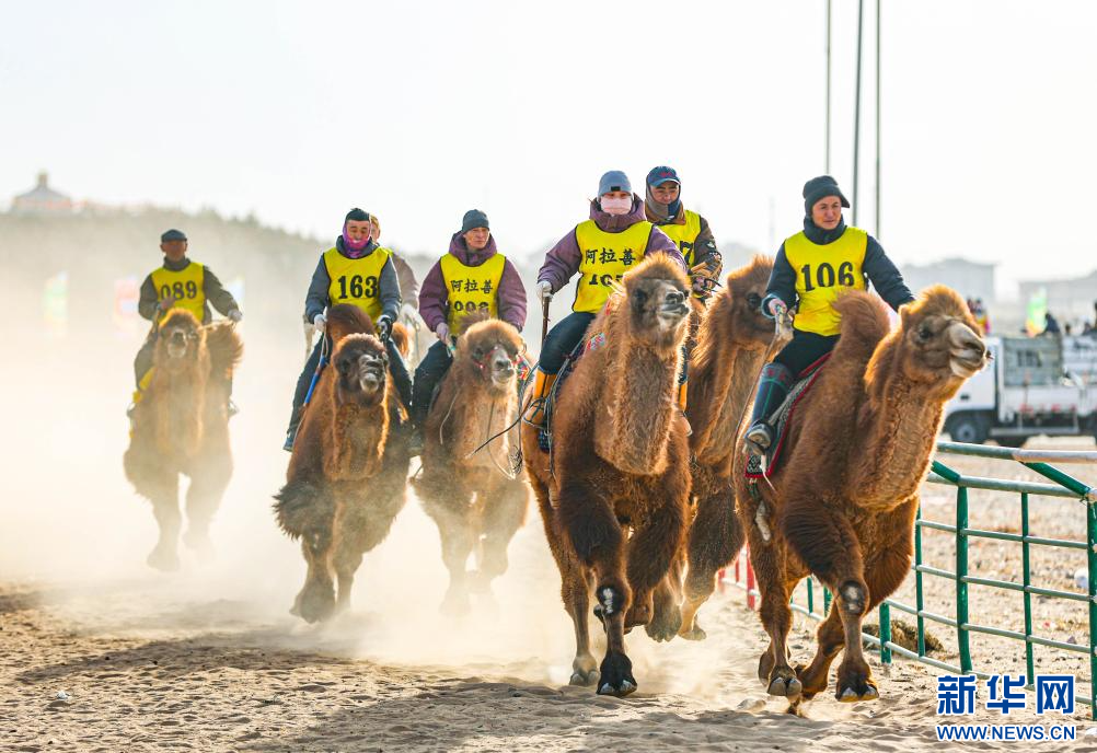 3月7日，賽駝手在6000米成年駱駝場地速度賽比賽中。.jpg