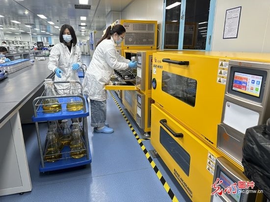 【高質(zhì)量發(fā)展看中國】基因遞送排頭兵 可實(shí)現(xiàn)“個性化”定制