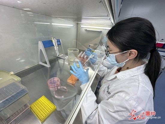 【高質(zhì)量發(fā)展看中國】基因遞送排頭兵 可實(shí)現(xiàn)“個性化”定制