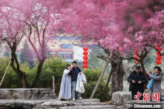 2月23日，市民在乾藝梅園景區(qū)觀賞綻放的梅花。瞿宏倫 攝