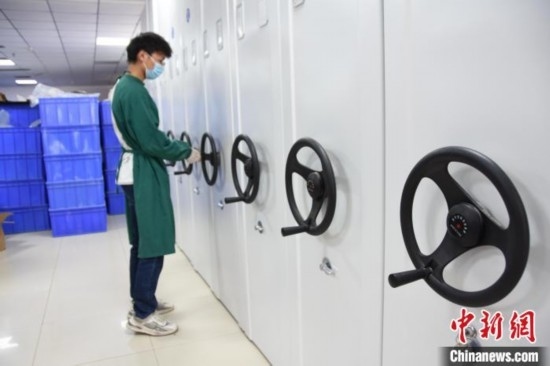 圖為鄭州大學(xué)人骨考古實(shí)驗(yàn)室內(nèi)的骨骼標(biāo)本庫。王宇 攝