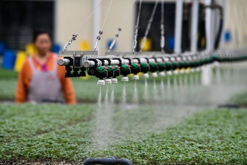 工人在貴陽市開陽縣楠木渡蔬菜良種繁育中心查看自動(dòng)噴灌系統(tǒng)給辣椒苗澆水情況（2023年5月24日攝）。新華社記者 楊文斌 攝