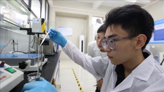 中國經(jīng)濟信心說丨在高質量發(fā)展的格局下持續(xù)挖掘人才紅利