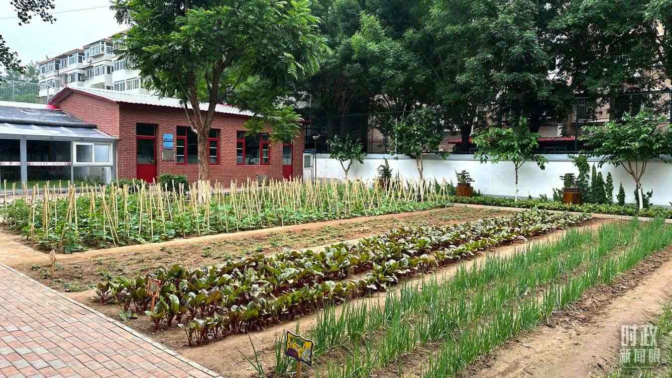 △學(xué)生農(nóng)場。（總臺(tái)央視記者趙化拍攝）