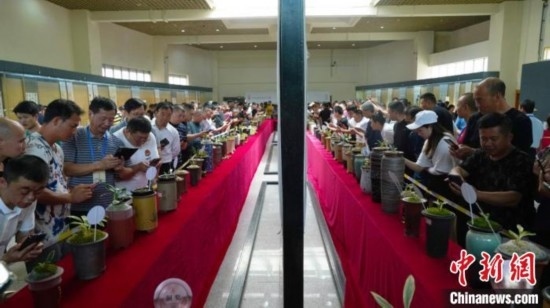 圖為活動(dòng)現(xiàn)場(chǎng)。 云南省委臺(tái)辦供圖