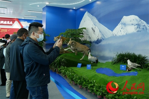 6月17日，觀眾正在觀展。人民網(wǎng) 韋衍行攝