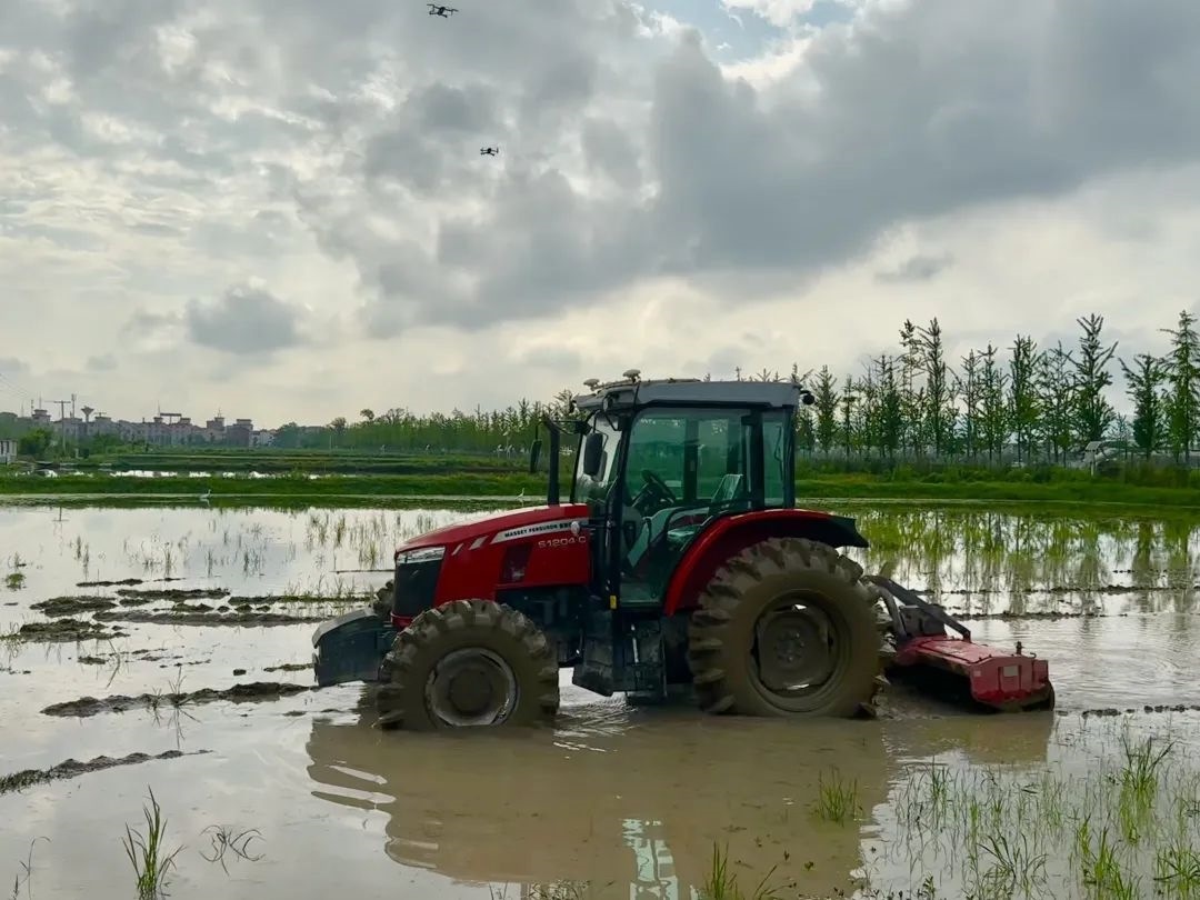浙江省金華市東陽市城東街道寀盧村的一臺無人駕駛耕地機(jī)。靜玄 攝