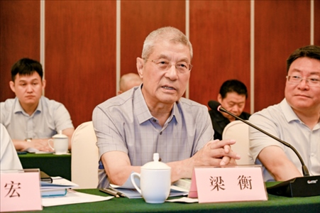 中國林業(yè)生態(tài)作家協(xié)會名譽(yù)主席梁衡發(fā)言。主辦方供圖