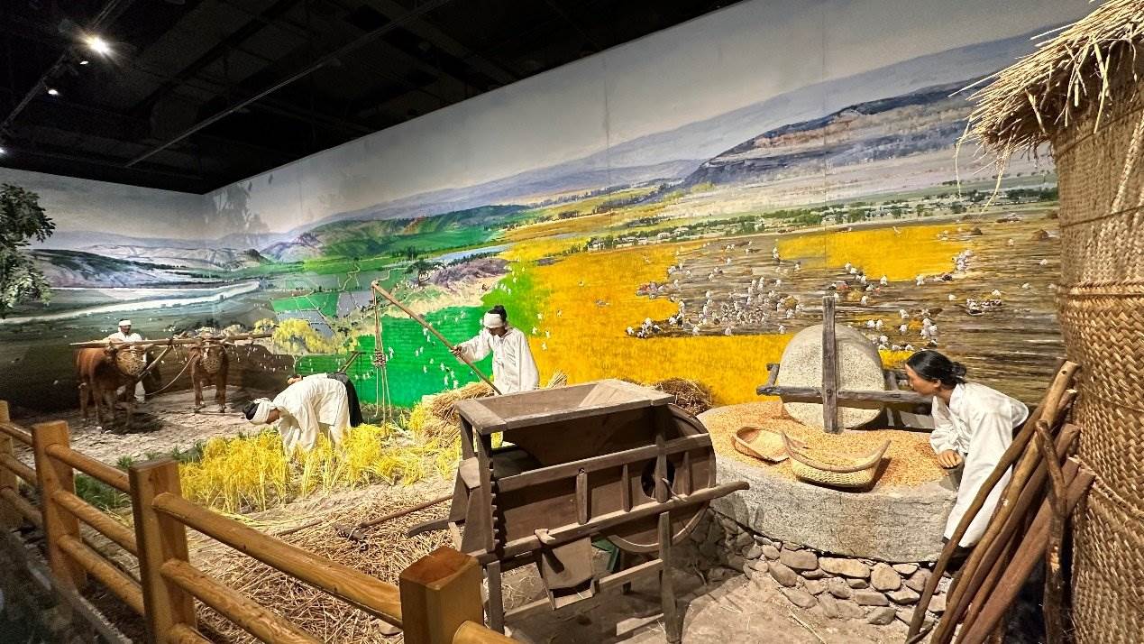 《朝鮮族民俗陳列》展廳。人民網(wǎng)記者 金洪花攝