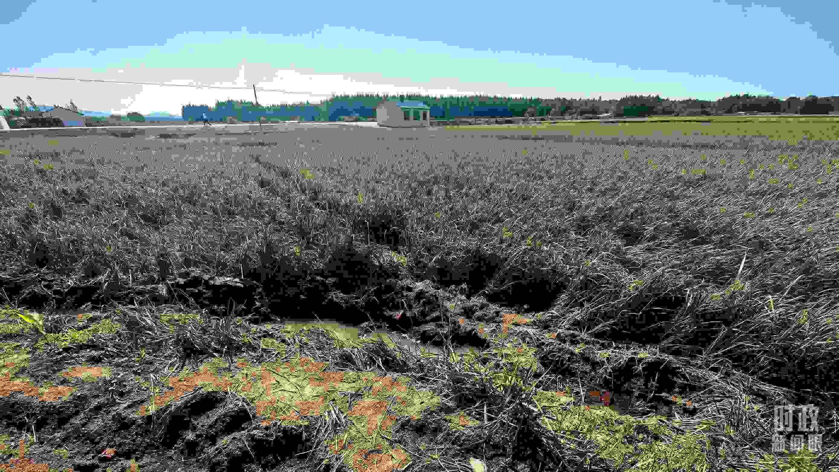 △圖為龍王廟村在洪災(zāi)中受損的農(nóng)田。（總臺央視記者史偉拍攝）