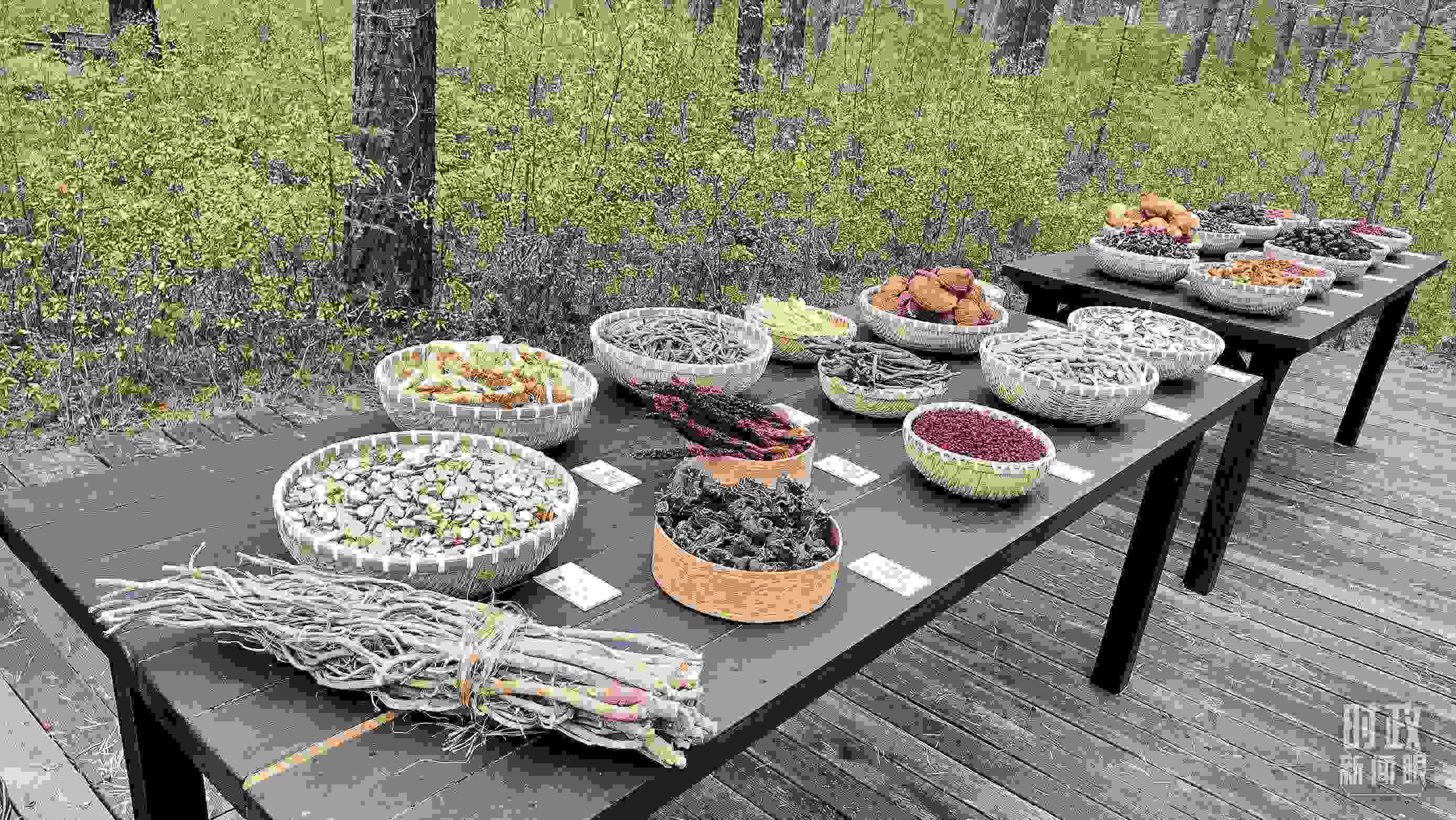 △林場里的食用菌、林果等特產(chǎn)。（總臺(tái)央視記者楊立峰拍攝）