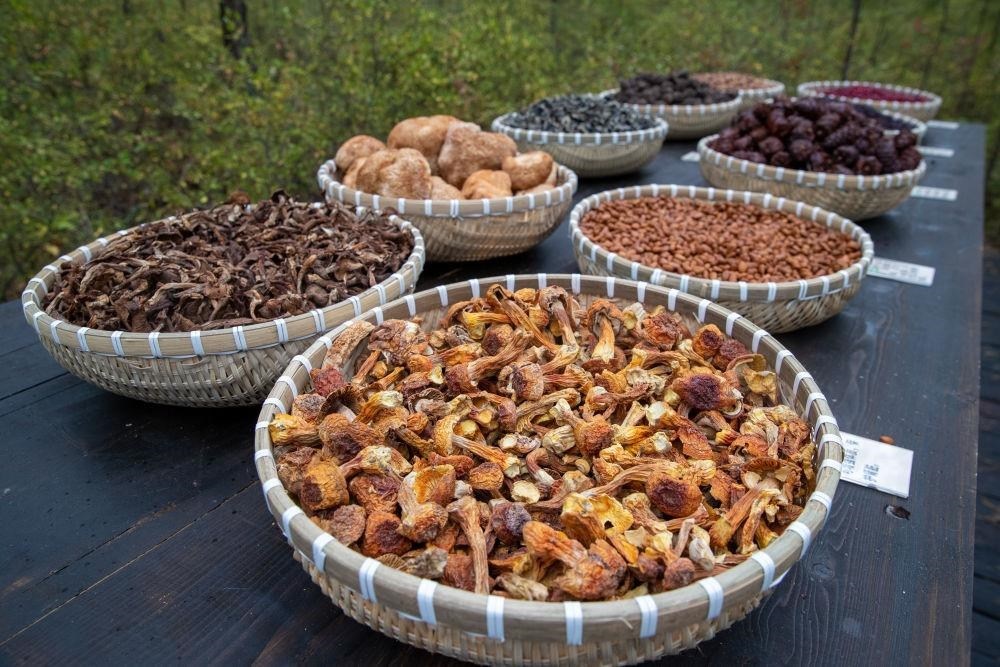 △近日，漠河市北極村一景區(qū)展示的林下產(chǎn)品。