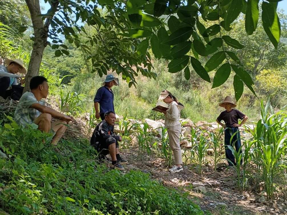 2023年7月18日，兩家村民發(fā)生土地方面的糾紛，李江女（右二）在記錄情況。受訪者供圖