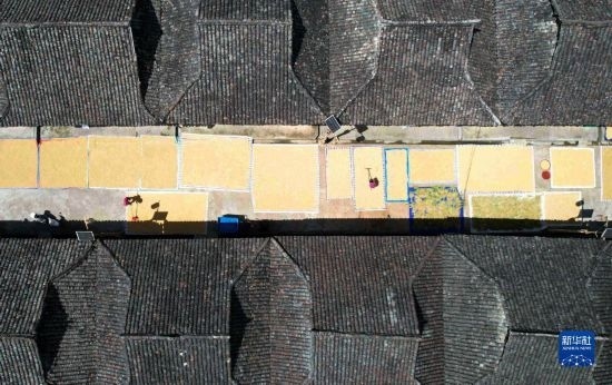 9月16日，在貴州省黔東南苗族侗族自治州從江縣加勉鄉(xiāng)污扣村，村民在晾曬稻谷（無人機(jī)照片）。