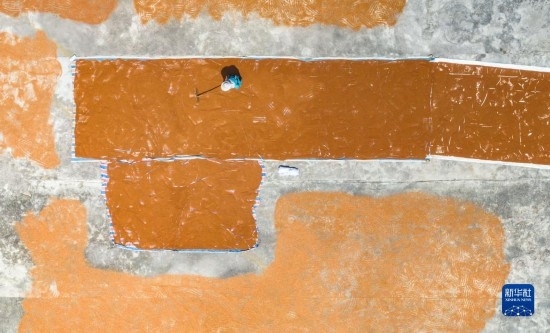 9月16日，農(nóng)民在貴州省安順市西秀區(qū)大西橋鎮(zhèn)吉昌村晾曬高粱（無人機(jī)照片）。