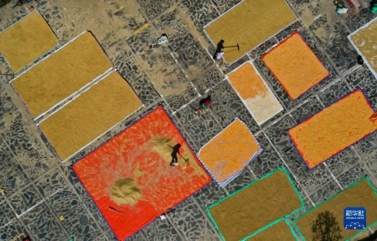 9月16日，貴州省黔東南苗族侗族自治州丹寨縣南皋鄉(xiāng)石橋村村民在晾曬農(nóng)作物（無人機(jī)照片）。