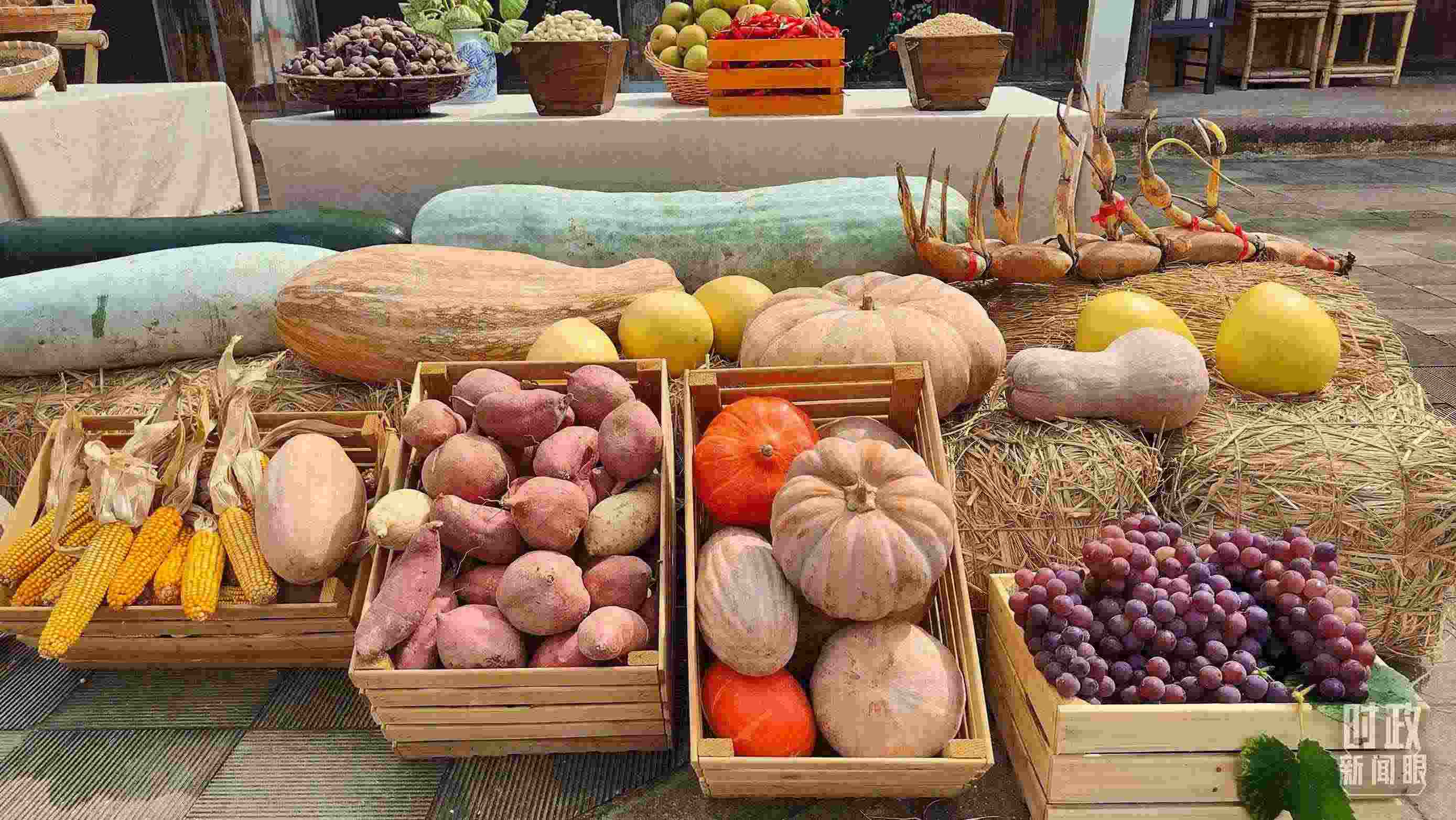 △村廣場“共富市集”，擺放著種類豐富的特色農(nóng)產(chǎn)品。（總臺央視記者楊立峰拍攝）