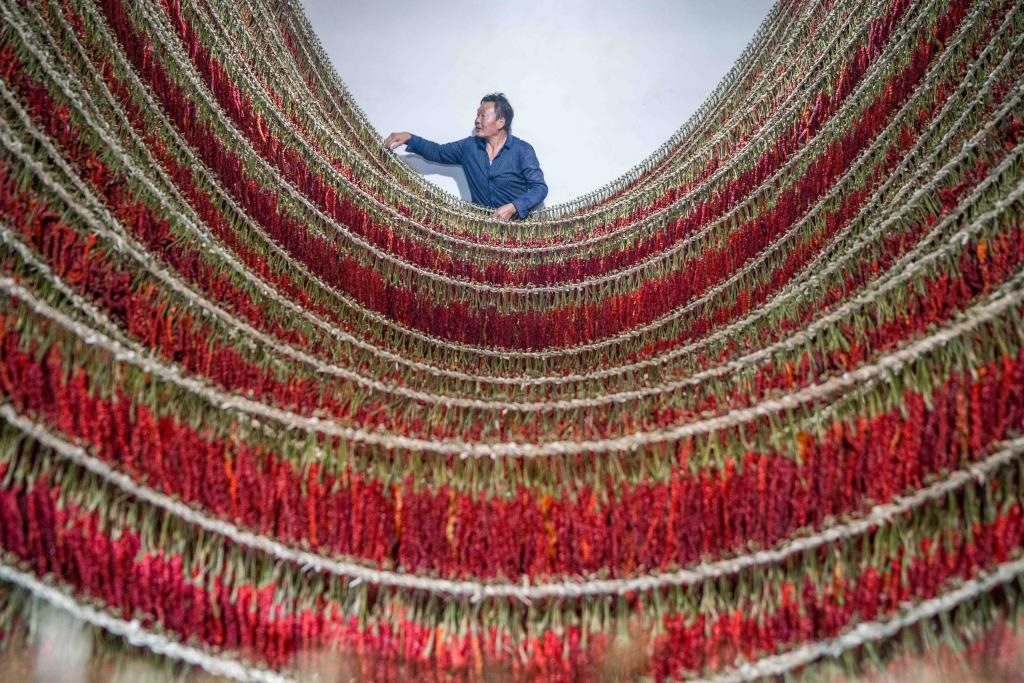 在貴州省畢節(jié)市大方縣理化鄉(xiāng)金雞村，村民查看辣椒烘干情況。新華社發(fā) 羅大富攝