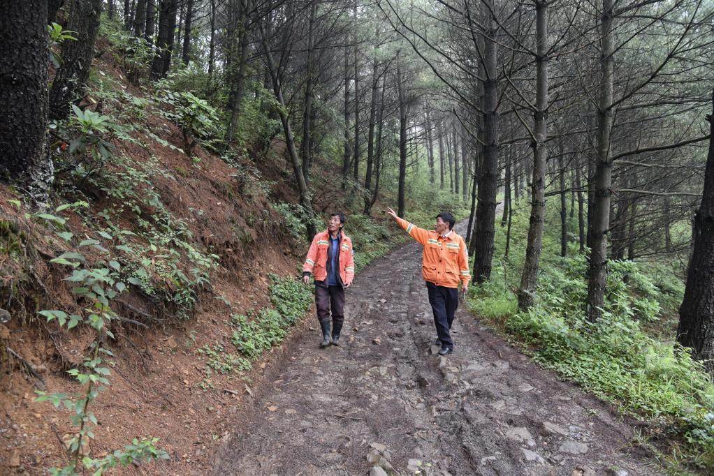 海雀村生態(tài)護(hù)林員馬正安（左）和海雀村林管員王光德（右）在日常巡山護(hù)林。新華社記者 李凡 攝