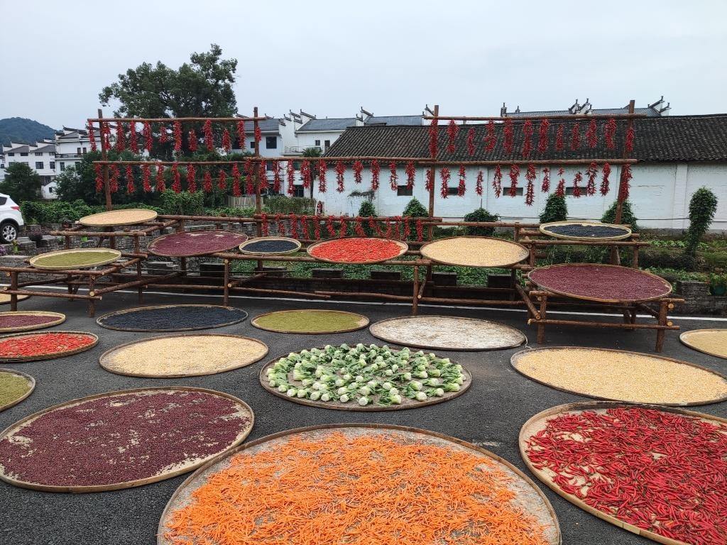 近日，江西省上饒市婺源縣秋口鎮(zhèn)王村村民晾曬的農(nóng)作物。新華社記者 劉佳敏 攝