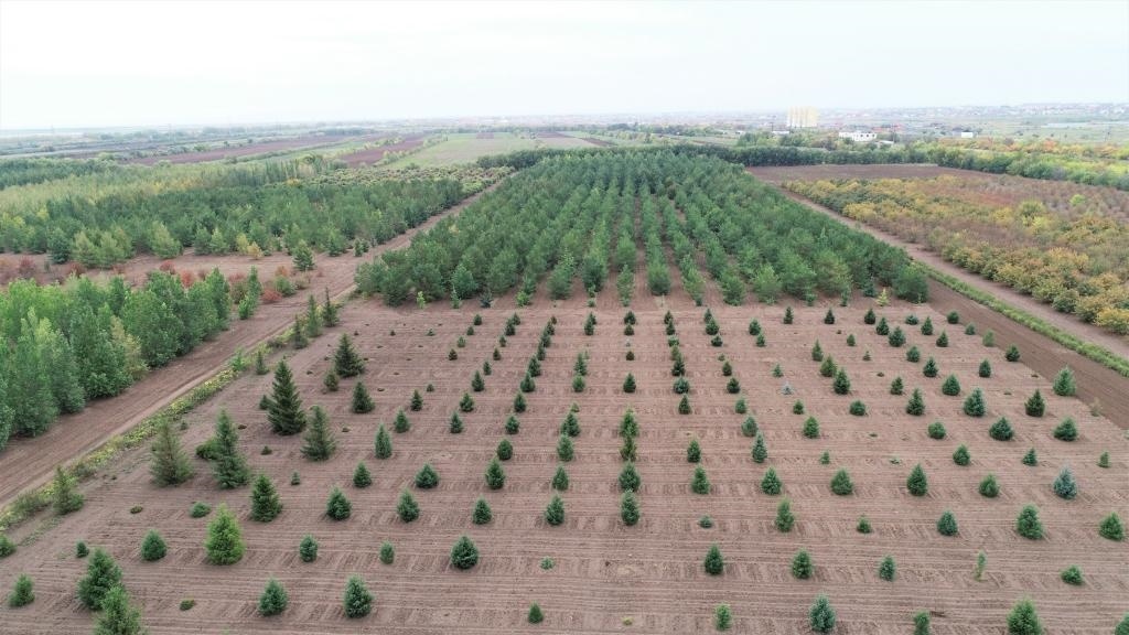 這是2023年9月11日在哈薩克斯坦首都阿斯塔納拍攝的一處植物種質(zhì)資源苗圃（無人機照片）。新華社發(fā)（法爾哈特·圖克諾夫 攝）