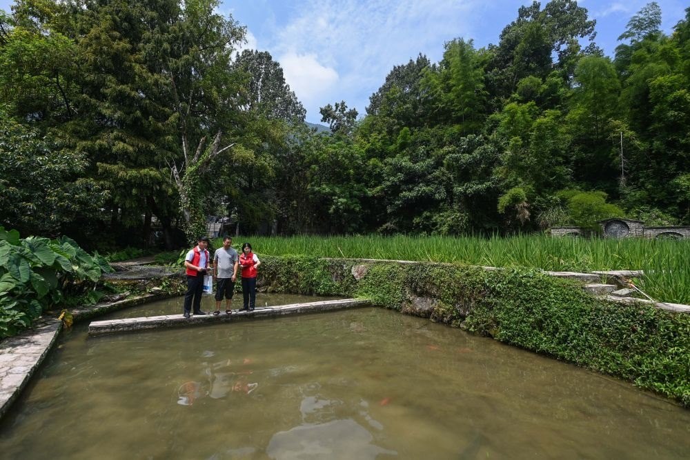 2023年8月17日，浙江省麗水市青田縣方山鄉(xiāng)田魚養(yǎng)殖戶吳勇強（中）在接受青田農商銀行“小蜻蜓”服務隊志愿者提供的“惠民易貸”上門服務。近年來，青田縣金融發(fā)展中心聯(lián)合各個金融機構優(yōu)化配套鄉(xiāng)村振興金融服務，推出“惠民易貸”“農家樂貸”等金融產品，重點支持涉農龍頭企業(yè)及特色種養(yǎng)殖產業(yè)。新華社記者 徐昱 攝