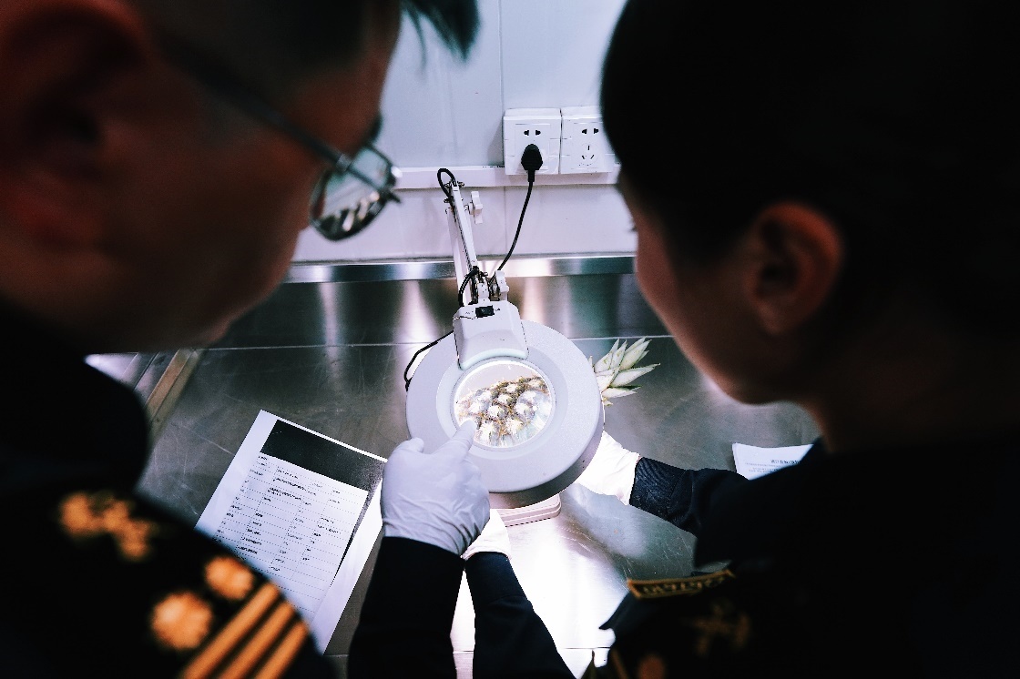 上海海關(guān)關(guān)員針對(duì)檢疫性有害生物和農(nóng)藥殘留進(jìn)行檢疫檢驗(yàn)。陳興洲攝