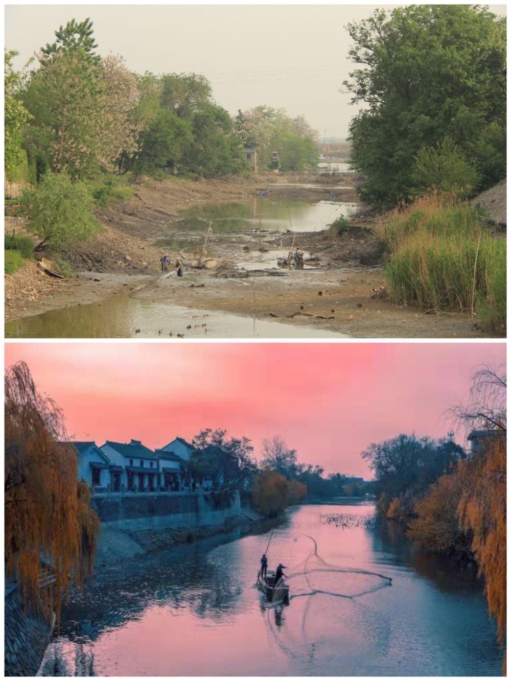 江蘇省揚(yáng)州市江都區(qū)明清運(yùn)河故道整治前后。（上圖：2012年；下圖：2020年）（孫友定 攝）