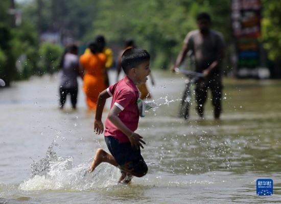 11月24日，一名男孩在斯里蘭卡加姆珀哈涉水出行。新華社發(fā)（阿吉特·佩雷拉攝）