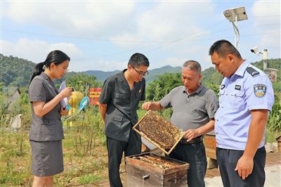  圖②：蒙山法院黃村法庭法官深入蜂蜜合作社，實地了解蜂農(nóng)需求。